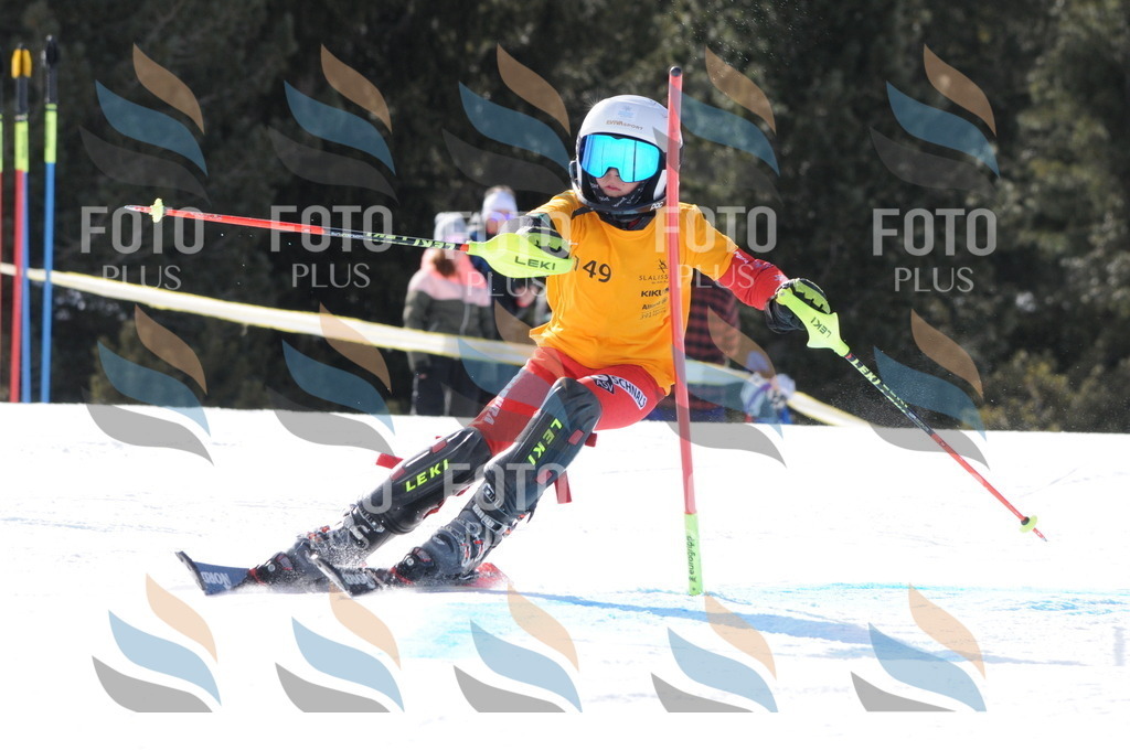 C7291 | holidayphoto