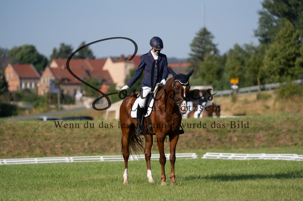 A7V09219 | Pferdefotograf