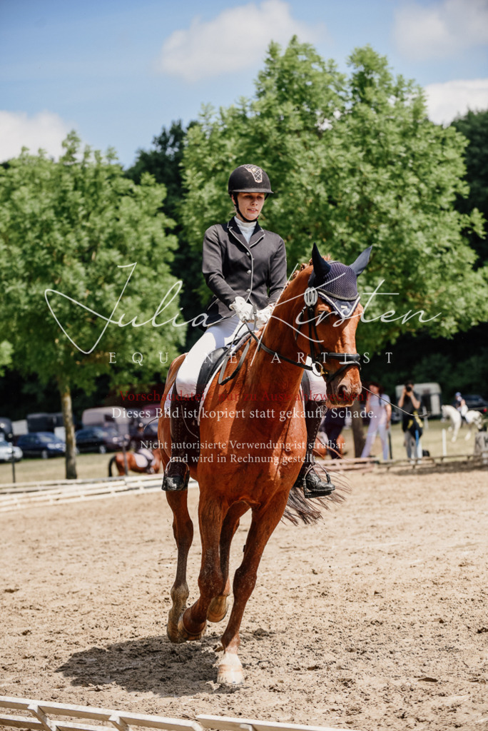 DSC_1571 | Pferde- und Turnierfotografie in Westsachsen. Pferdeportraits, Auftragszeichnungen und intuitive Kunst.