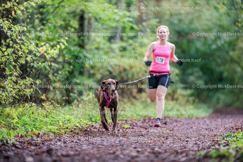 THS-HSV-Blumenthal-2026-Nickbest-Hundefotografie-0167 | Dein Hund! Dein Moment! Deine Erinnerungen! Hundefotografie in Bremen Blumenthal. Ich fange die besonderen Momente deines Vierbeiners ein – ob Indoor mit Blitzanlage oder in der freien Natur. Sicher dir dein Moment und dein Termin für eure Erinnerungen.
