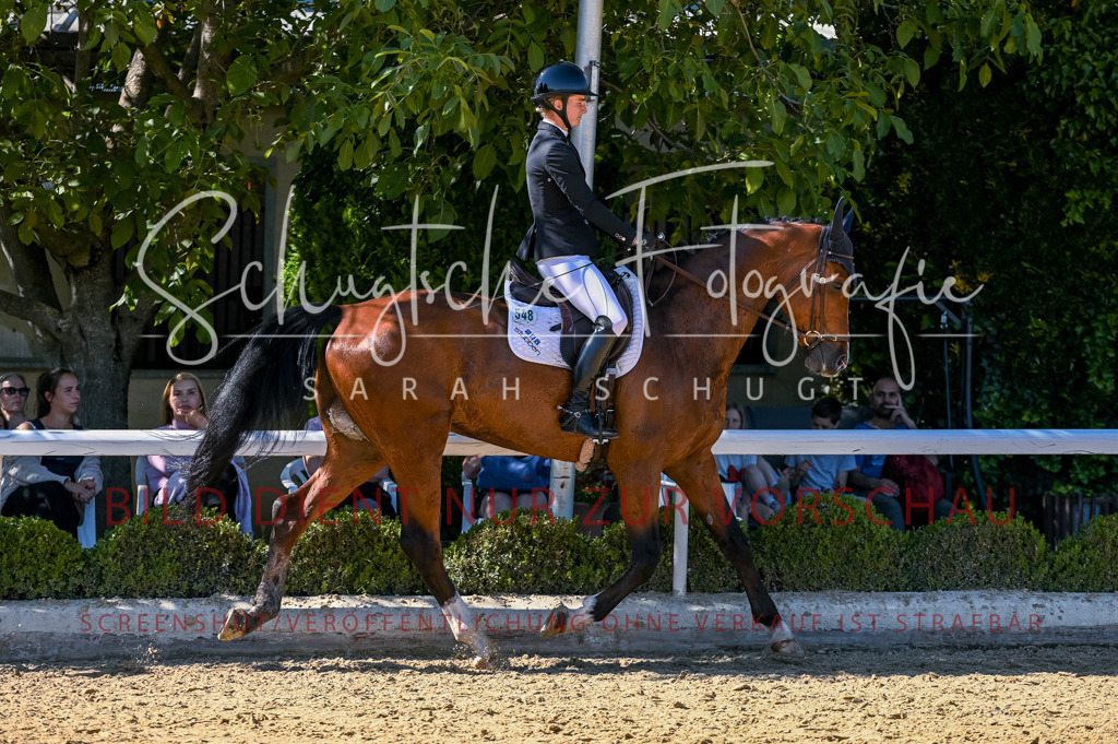 Schugtsche-Aluta25-50.Dressurpferdeprf.L-134 | Schugtsche Fotografie - Realisiert mit Pictrs.com