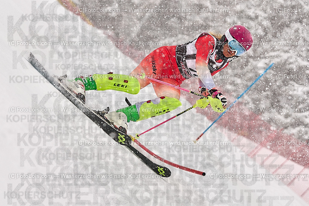 _ALP9033_MASTERS-WM_Reiteralm_CD_SL-I_MEIER Sibylle | FISWORLD CHAMPIONSHIPSMASTERS ALPINE SKIING, 23. – 28. MÄRZ 2026 - REITERALM | STMK | AUT.   Veranstaltet vom Masters-Referat des Deutschen Skiverbandes (DSV). Durchführende Organisation: WSV Pichl-Reiteralm, unterstütutzt von den Bergbahnen REITERALM bei Schladming und SKI AUSTRIA.                            Disziplinen:  Super-G, GiantSlalom, Slalom.                                                 Kategorien:  A (Herrn 30-59 Jahre), B (Herrn ab 60 Jahre), C (Damen 30-59 Jahre), D (Damen ab 60 Jahre).                Rennstrecken:   Gasselhöhe und Muldenliftpiste auf der Reiteralm.