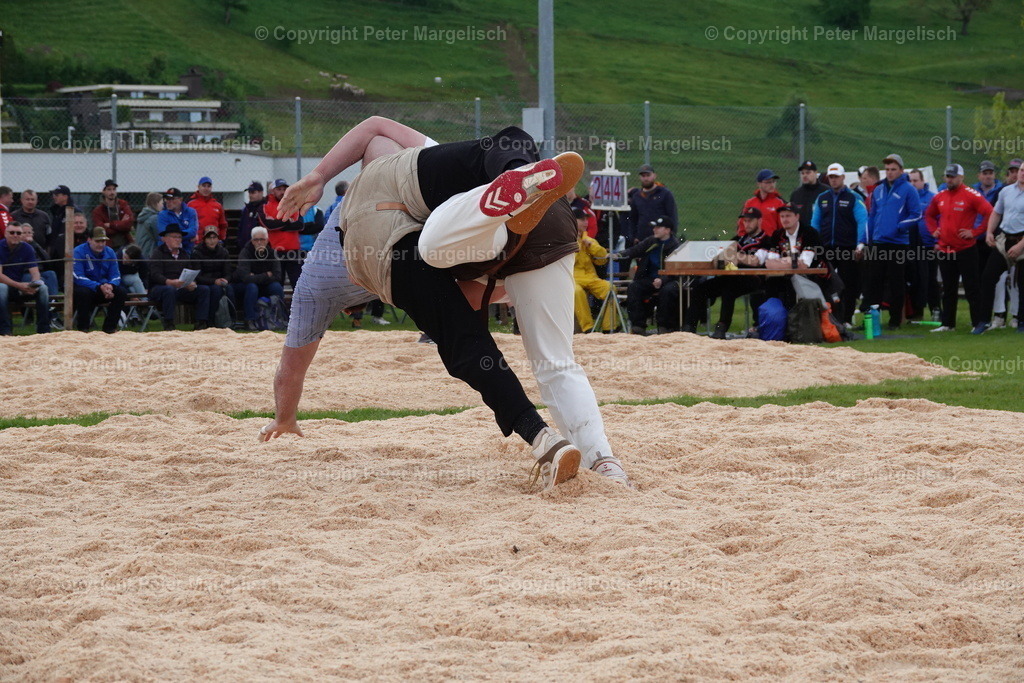 DSC00622 | Schwingen - Realisiert mit Pictrs.com