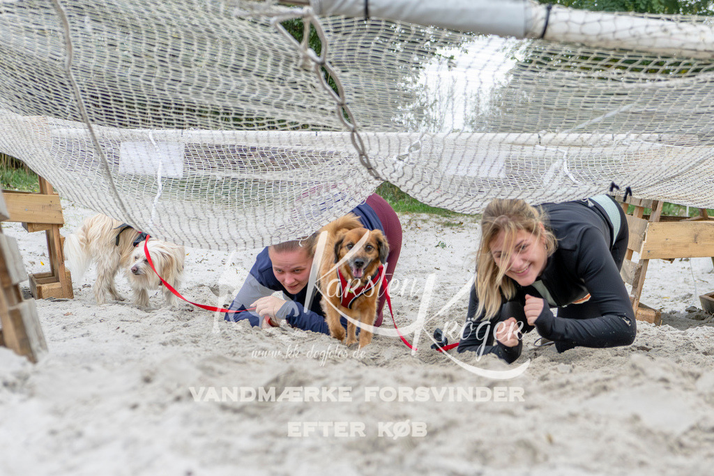 1540_ZZ96445 | kk-dogfotos