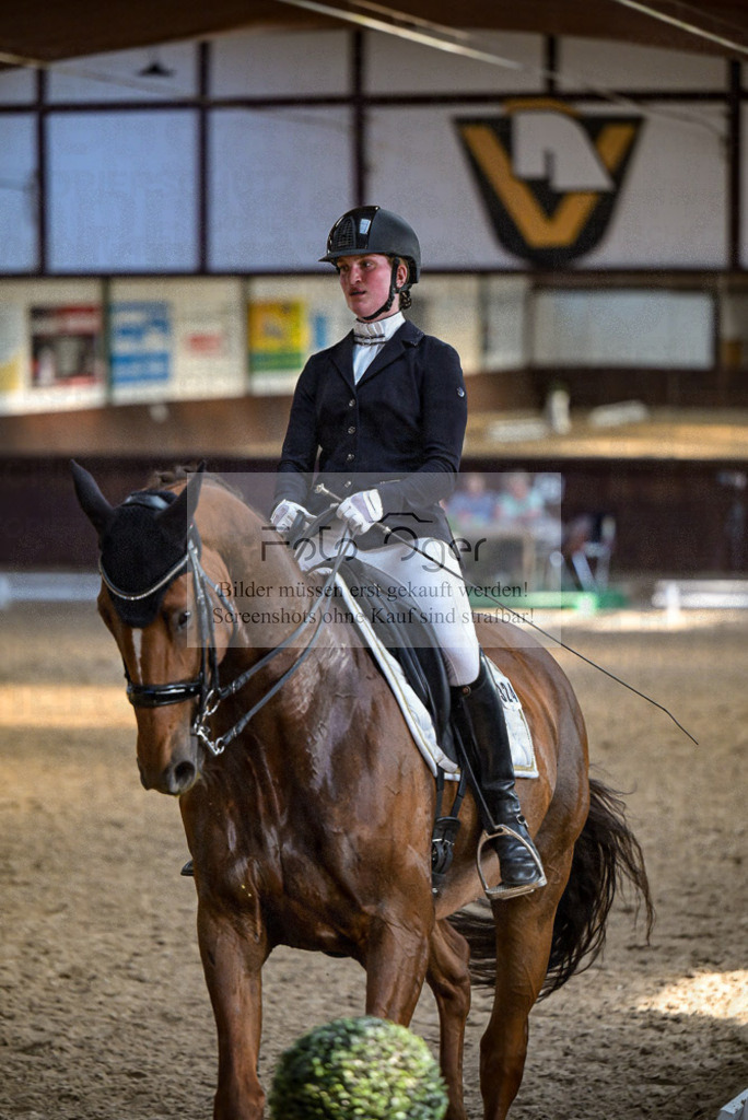 Reitturnier Voxtrup | Entdecke hochwertige Reitturnierfotos von Foto Oger. Professionell, emotional und authentisch – jetzt Lieblingsmomente im Shop bestellen.Deutschlandweite Turnierfotografie. - Realisiert mit Pictrs.com