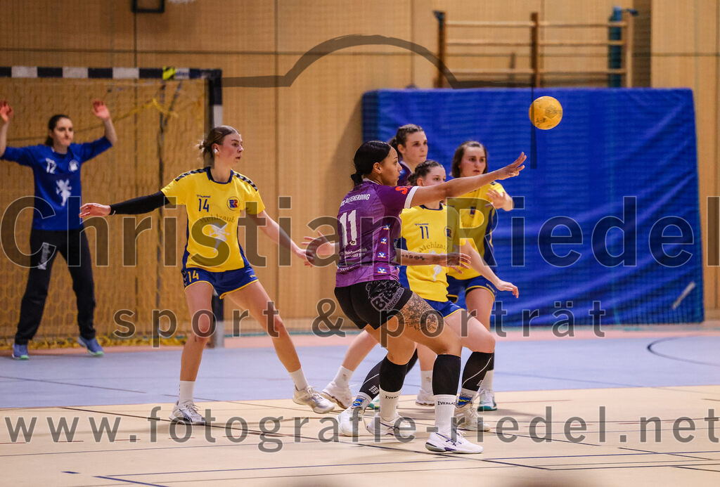 2025-02-15_097_SpVgg_Altenerding_gegen_MTV_Pfaffenhofen | Erding, Deutschland, 15.02.2025:Handball, Bezirksoberliga Frauen Altbayern 2024 / 2024, 14. Spieltag, SpVgg Altenerding gegen MTV Pfaffenhofen, Endergebnis: 27:23Julia Waterkotte (MTV Pfaffenhofen, #14), Nikayla Alston (SpVgg Altenerding, #11), Leonie Sterz (MTV Pfaffenhofen, #11)Foto: Christian Riedel / fotografie-riedel.net