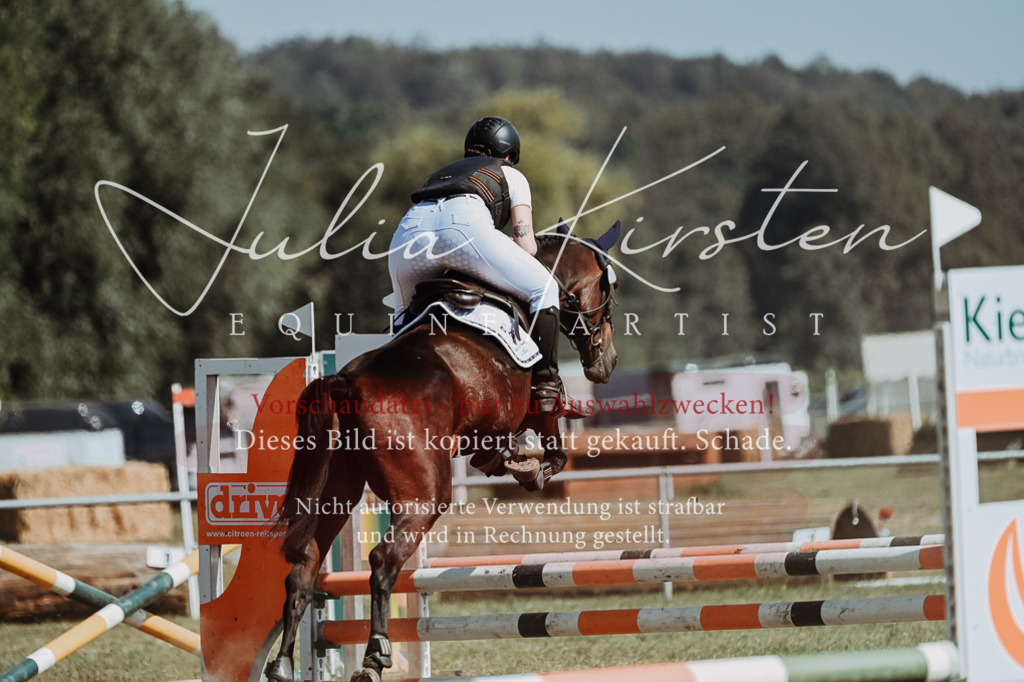 DSC_9672 | Pferde- und Turnierfotografie in Westsachsen. Pferdeportraits, Auftragszeichnungen und intuitive Kunst.
