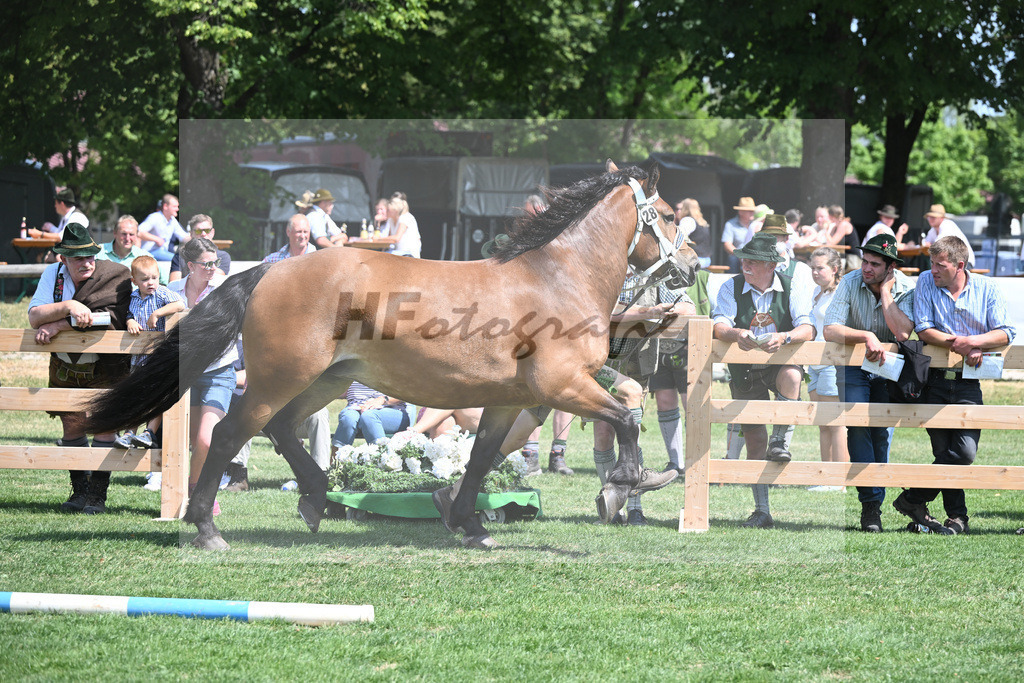Kat-Nr. 28 Resl_Erhart_20230437 | hf-fotografie - Realisiert mit Pictrs.com