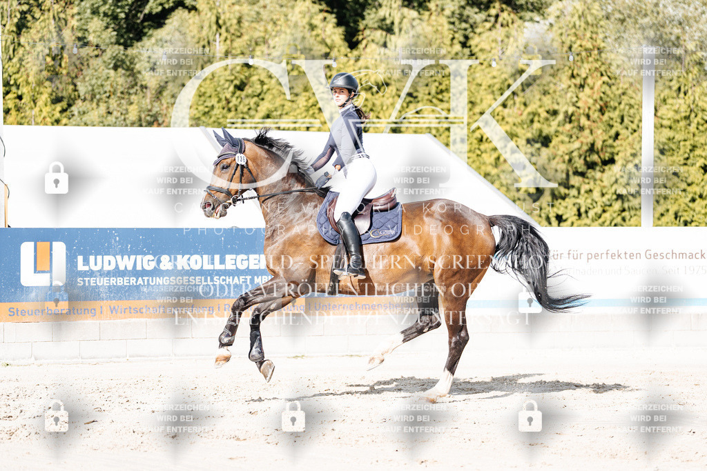 CK909188 | Turnierfotografie Pferdefotografie Trier Rheinland-Pfalz Pferdesport Reitsport Tierfotografie Sportfotografie Pferdevideo Pferdevideografie Equestrianvideography equestrianphotography  - Realisiert mit Pictrs.com