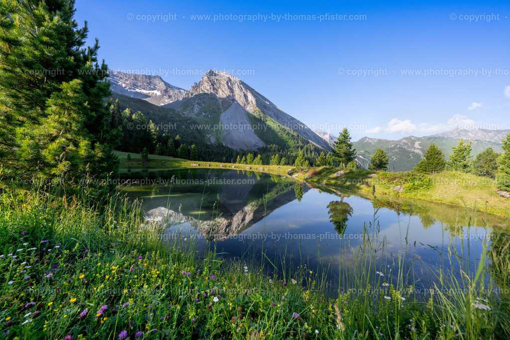 Grieralm Frühling copyright  Thomas Pfister-3 | PHOTOGRAPHY BY THOMAS PFISTER