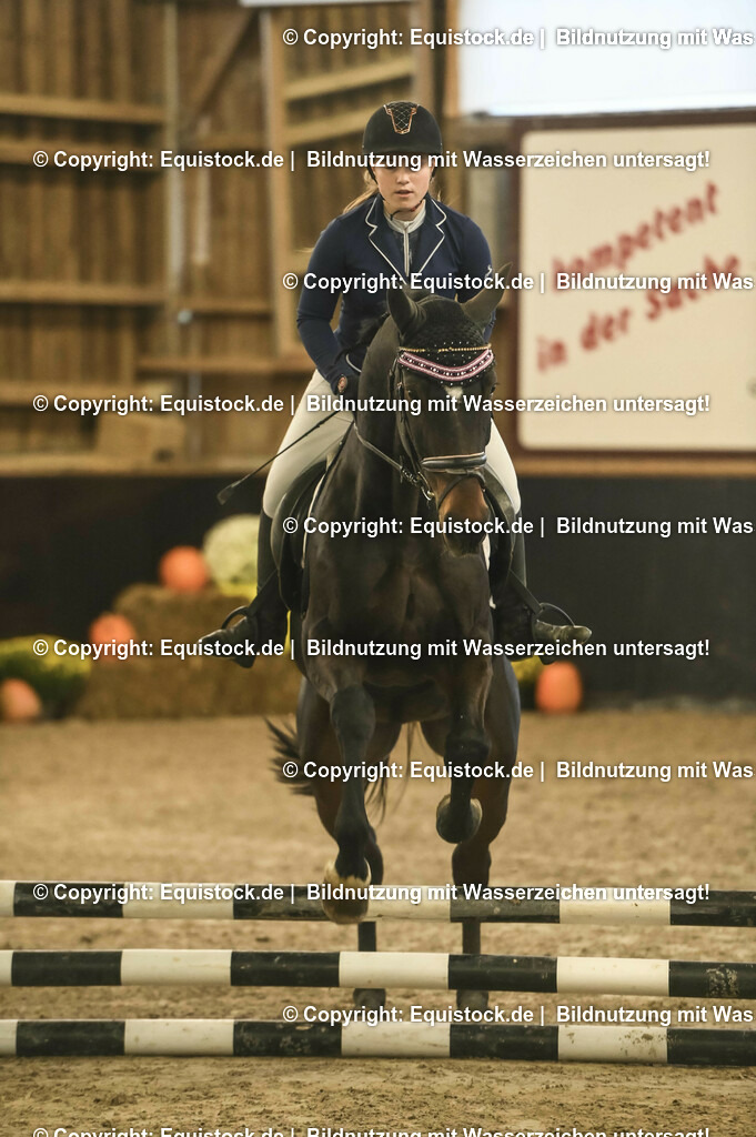 20231029_07_Stilspring-WB-50cm_0088 | Foto: Thomas Hartig