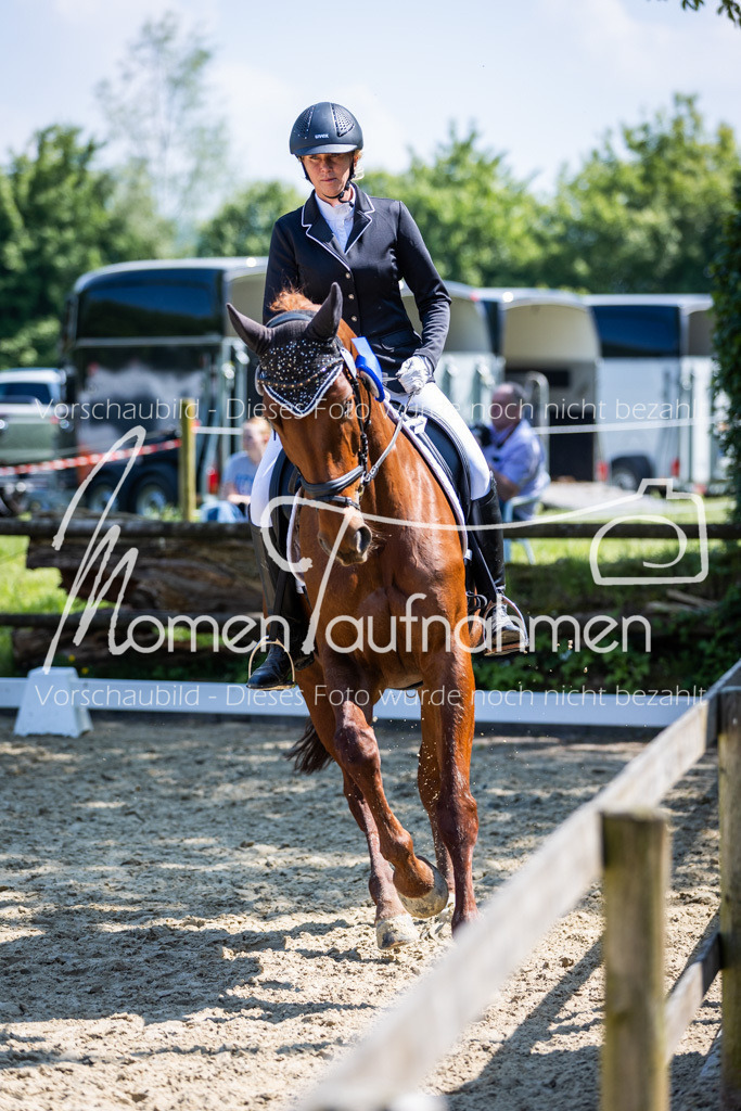 Donop24-L-Dre-139 | MomenTaufnahmen Pferdesportfotos