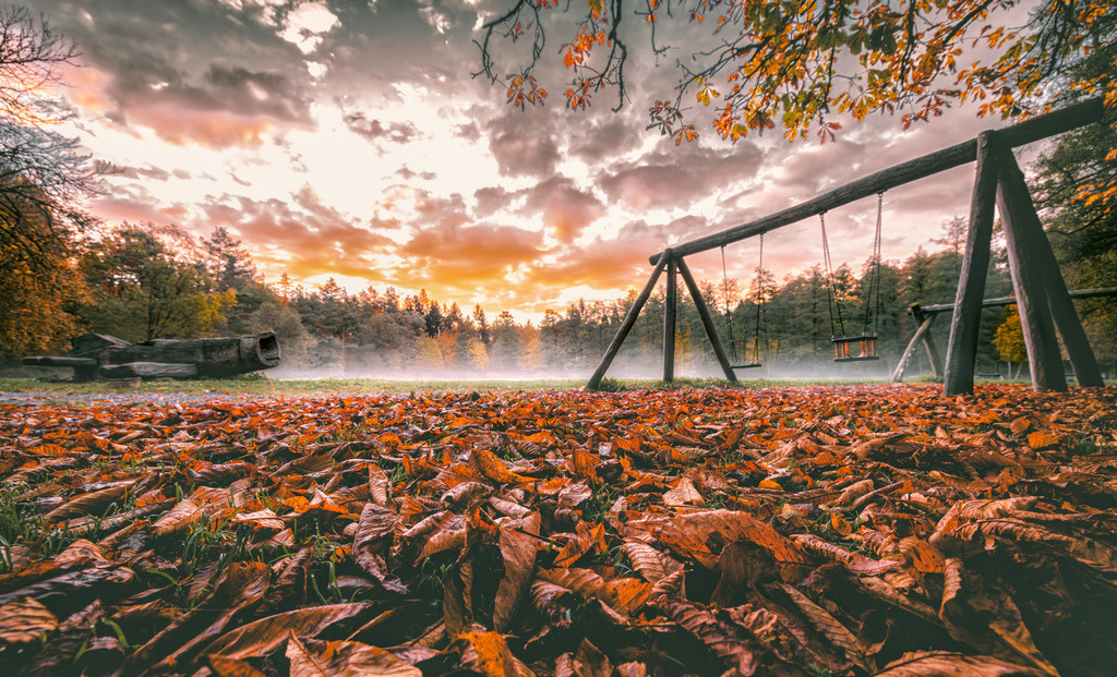 Herbstlicher Sonnenaufgang auf dem Waldspielplatz im Rotwildpark hinter Schloss Solitude,Bärenschlössle,Stuttgart | Das Foto fängt eine leere Holzschaukel an einem kühlen Herbstmorgen ein. Der Boden ist dicht mit orange-braunem Herbstlaub bedeckt, während im Hintergrund ein sanfter Bodennebel liegt und die Sonne farbenprächtig hinter den Bäumen aufgeht.Ein Waldspielplatz im weitläufigen Areal rund um das barocke Lustschloss Solitude im Westen Stuttgarts. Die Wälder und Spazierwege dort sind ein sehr beliebtes Ausflugsziel für Familien und Naturfotografen - Realisiert mit Pictrs.com