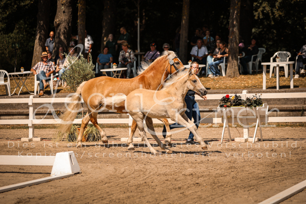 06.DoH00087 | Leoni Ertmer Photography - Realisiert mit Pictrs.com