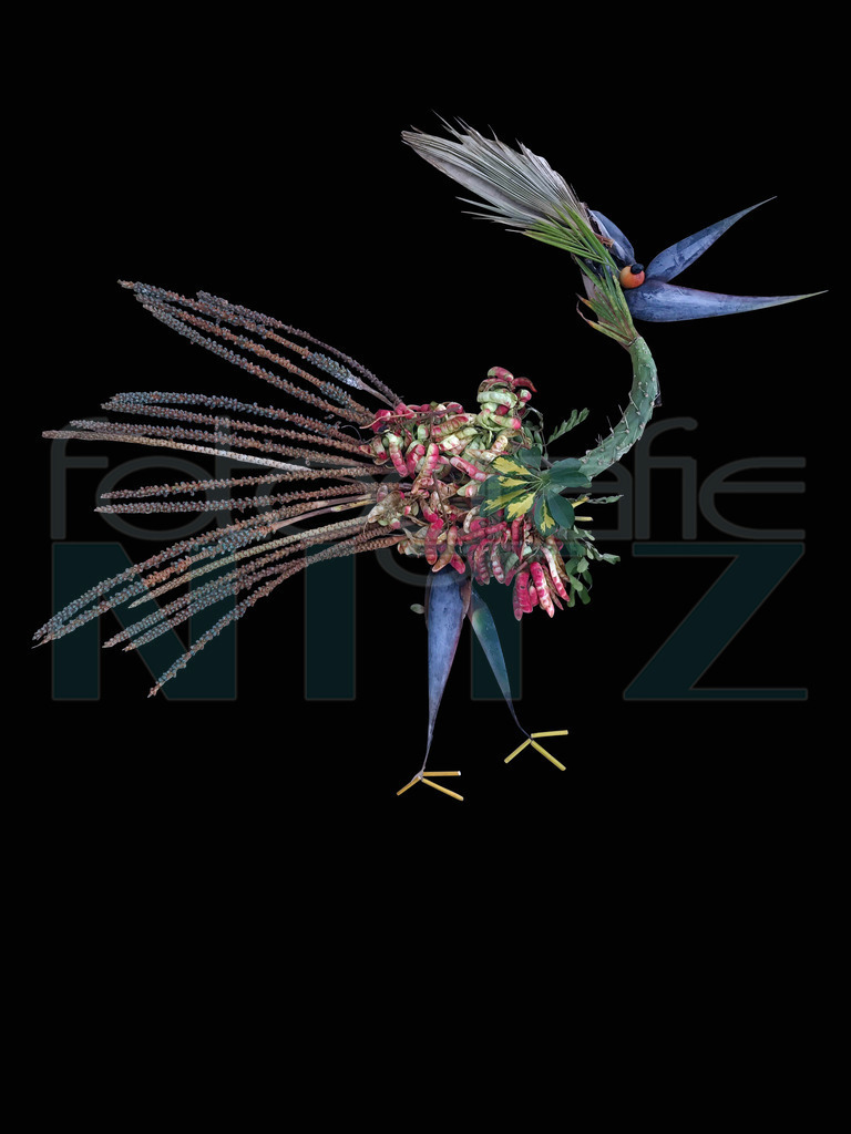 72 | Nitz Fotografie aus Montabaur bietet Ihnen hier die Möglichkeit Bilder auszusuchen und zu bestellen. 