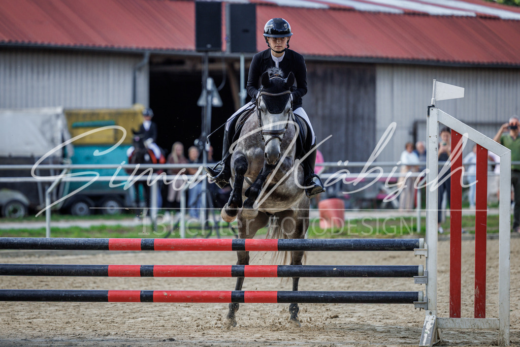 20260905-_3LI8464 | Tierfotografie Pferde, Hunde, Katzen, Haustiere.
Turnierfotografie Reitturniere, Reiten, Springreiten, Dressur in Hanau, dem Main-Kinzig-Kreis und dem Rhein-Main- Gebiet um Frankfurt
