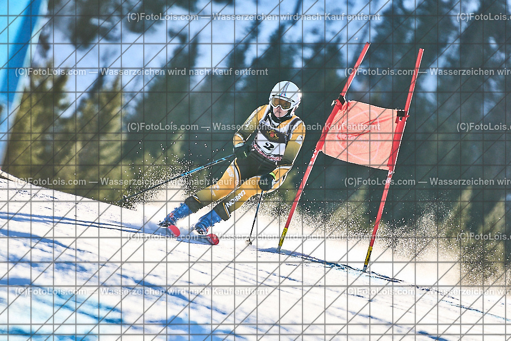 ALP1405_FIS-MastersCup_Reiteralm_Giant-SL_Franke-Williams Marg | FIS-MastersCup GIANT-SLALOM auf der Reiteralm in Pichl, Sa 18. Jänner 2025.
