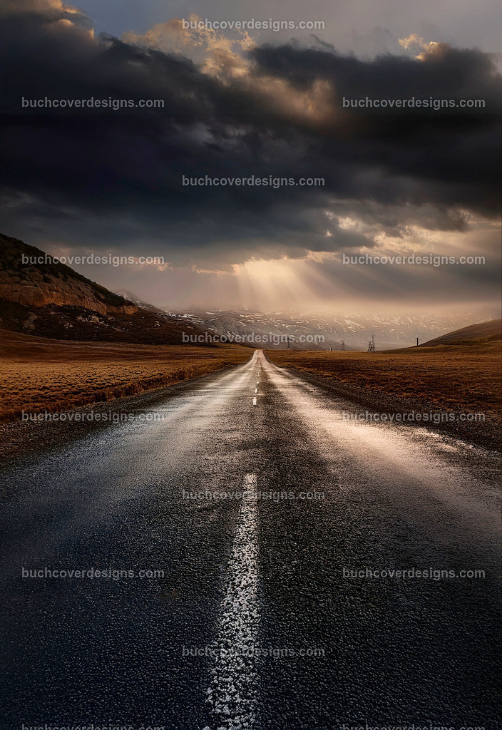 Nasse Asphalt Straßen | Entdecken Sie kreative Buch Cover Designs für Self-Publishing-Autoren und Verlage! Unsere maßgeschneiderten Designs ziehen Leser an und bringen Ihre Geschichten visuell zum Leben. Lassen Sie uns Ihr perfektes Cover gestalten!