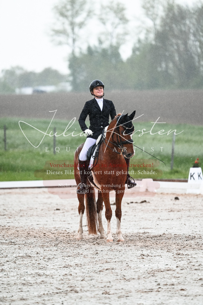 DSC_4602 | Pferde- und Turnierfotografie in Westsachsen. Pferdeportraits, Auftragszeichnungen und intuitive Kunst.