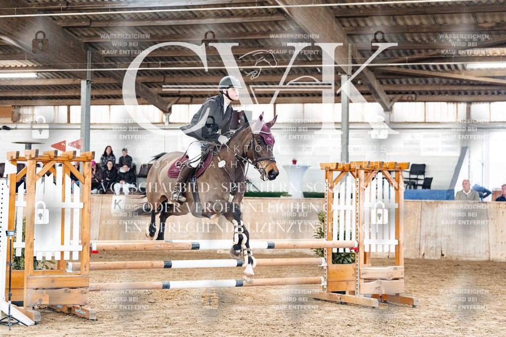 CK904212 | Turnierfotografie Pferdefotografie Trier Rheinland-Pfalz Pferdesport Reitsport Tierfotografie Sportfotografie Pferdevideo Pferdevideografie Equestrianvideography equestrianphotography  - Realisiert mit Pictrs.com
