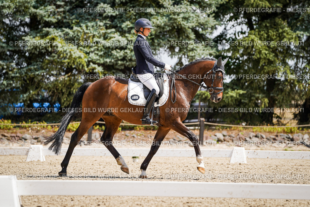 DSC01349 | Pferdegrafie