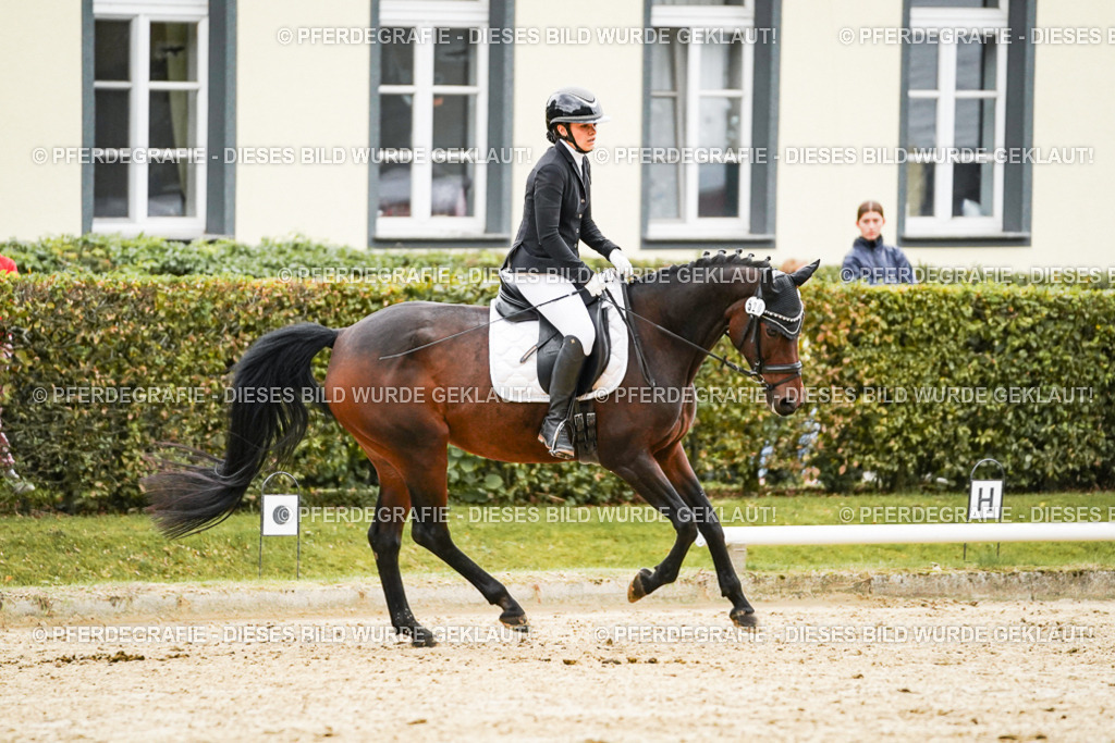 DSC07041 | Pferdegrafie