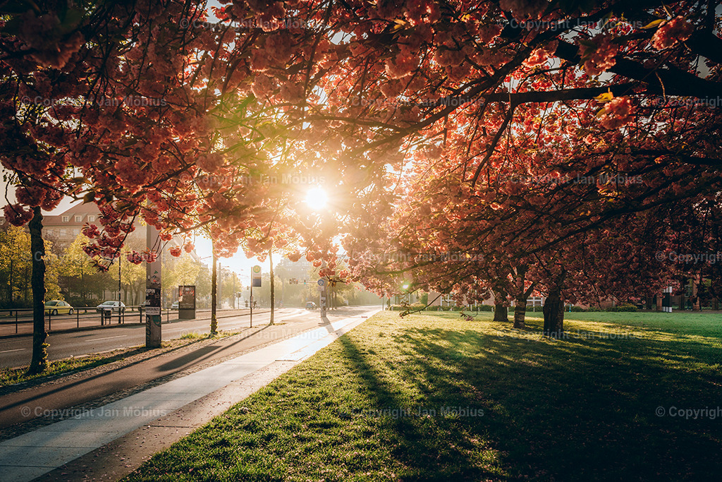 _DSC1883 | Leipzig Wandbilder Drucke Prints Leinwand Stadtmotive Leipzig Fotosdruck Kunstdrucke Bilder Leipzig Stadtansichten Acrylglasbilder Leipzig Wanddeko Fine Art Prints Wandbilder Büro Leipzig Bilder Praxis Zuhause Bilderdruck Poster Posterlounge Kunstdrucke - Realisiert mit Pictrs.com