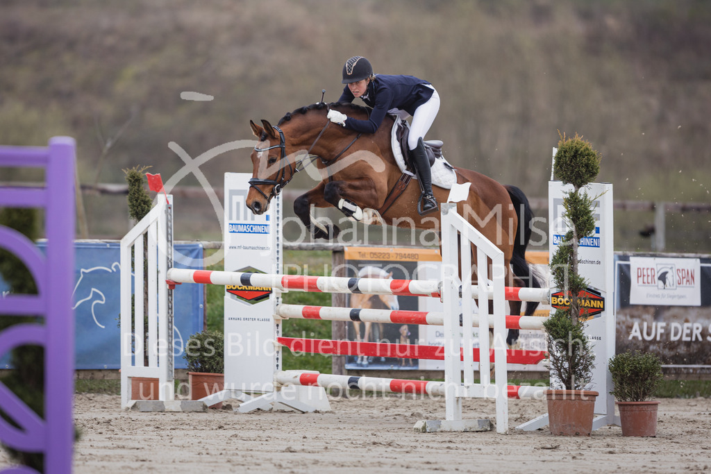 230408_Frühlingsfest_Stil-L-2-822 | Deine schönsten Turniermomente als professionelle Fotos! Entdecke hochwertige Pferdesport-Fotografie im Online-Shop. Jetzt Fotos finden & bestellen!