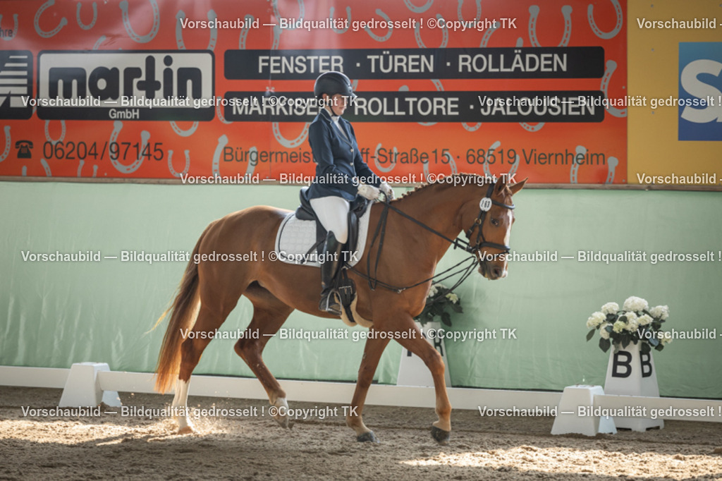 _D5A5599 | Emotionale Pferde- & People-Fotografie rund um Heidelberg, Leimen & Umgebung. Natürliche Fotos von Pferd, Mensch & Familie. Jetzt Termin sichern!