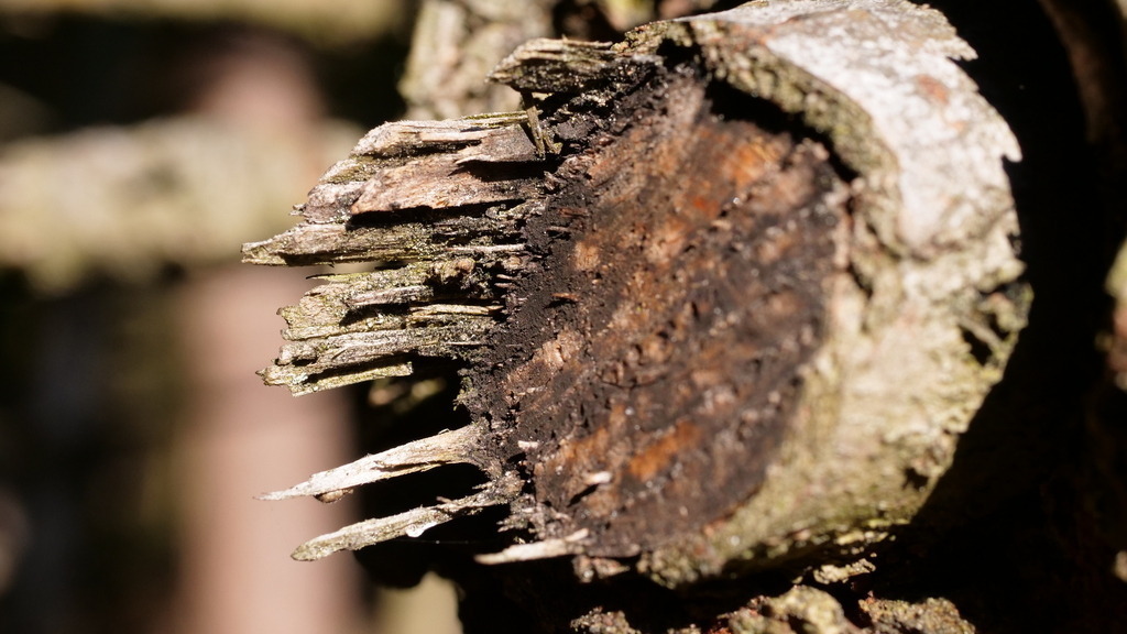 P1055170 | klausulrichmoeller