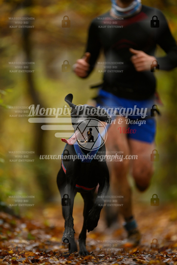 MompixPhotography_CD7S_DI_CCL-23 | mompixphotography