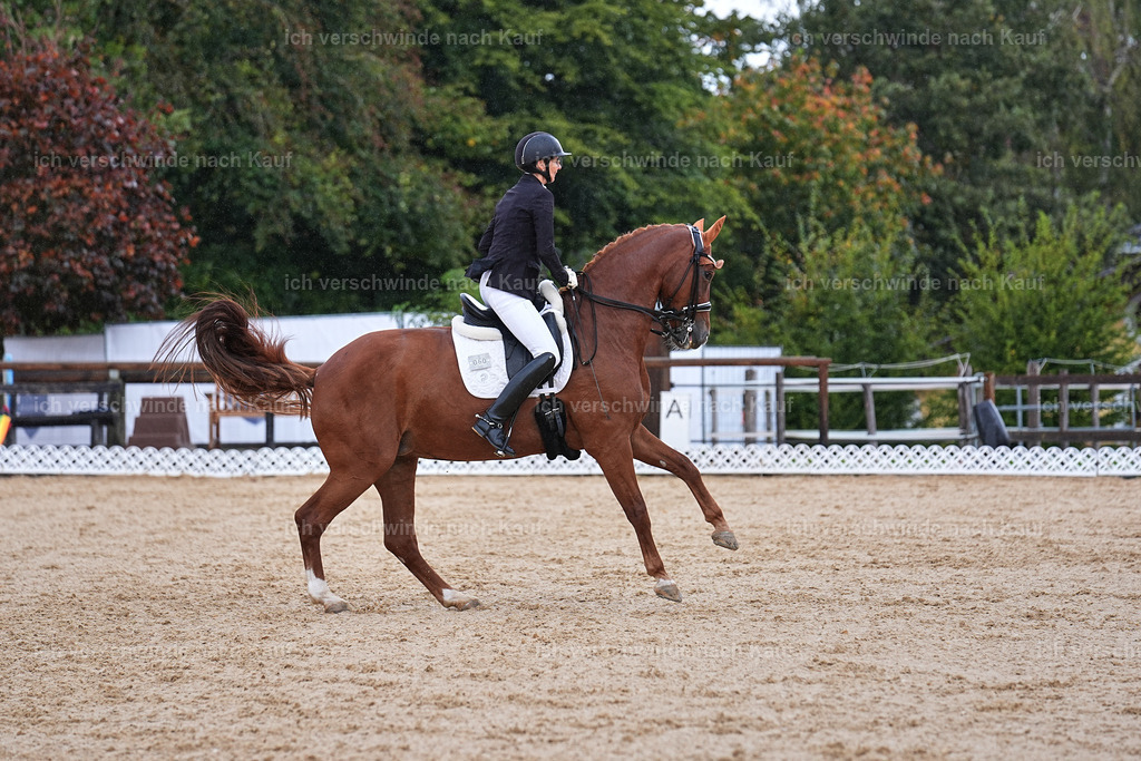 05-060-DRESSUR M_  -Marixx-4971 | working equitationturnier fotograf videograf stoibphotography marixx film working equitation deutschland reitsport turnierfotografie eventfotografie equestrian events