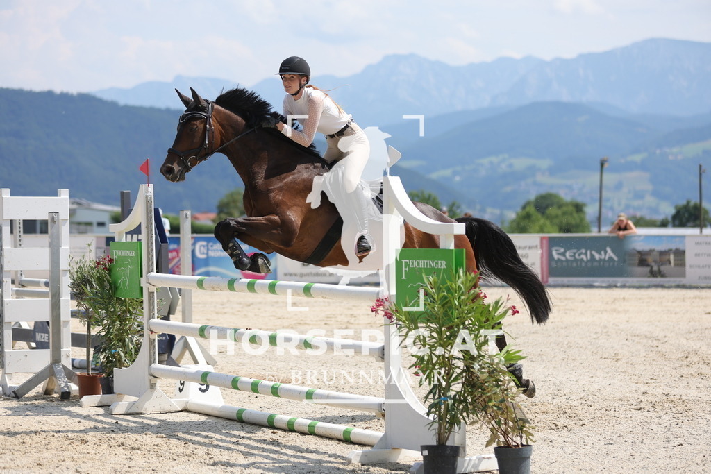 0P6A9912 | Willkommen bei Brunnmayr - Design & Fotografie – Ihrem Spezialisten für Reitturniere und Pferdeveranstaltungen in Oberösterreich, Salzburg und Bayern! Seit über 17 Jahren sind wir leidenschaftlich dabei.