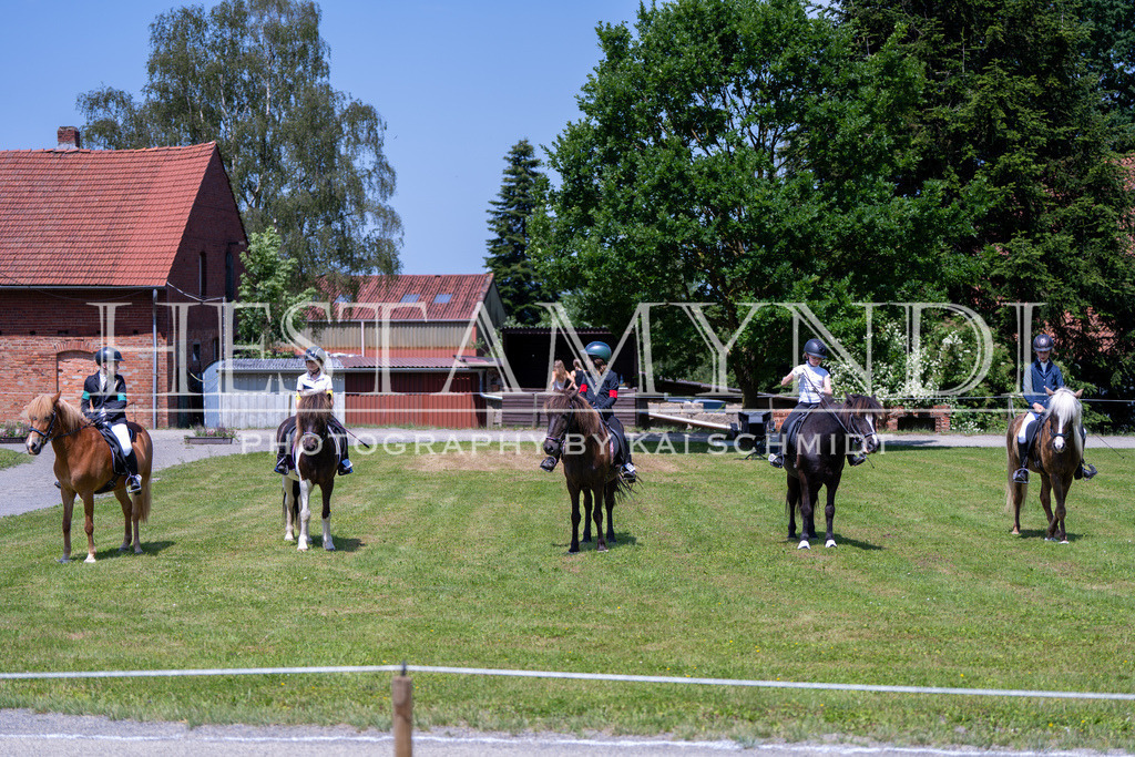 KAI03935 | Ihr sucht einen Fotografen für eure nächste OSI? Ich begleite auch euer Turnier für Islandpferde fotografisch.  - Realisiert mit Pictrs.com