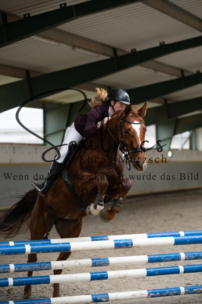 A7V07055 | Pferdefotograf