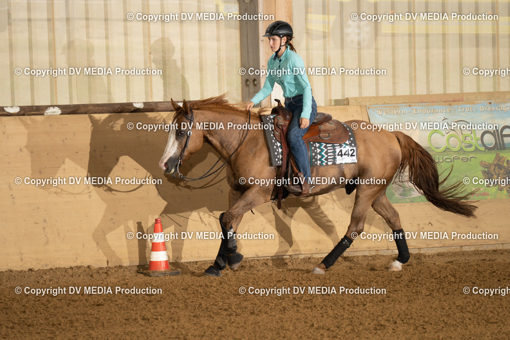 LAU00789 | dv-media-shop - Realisiert mit Pictrs.com