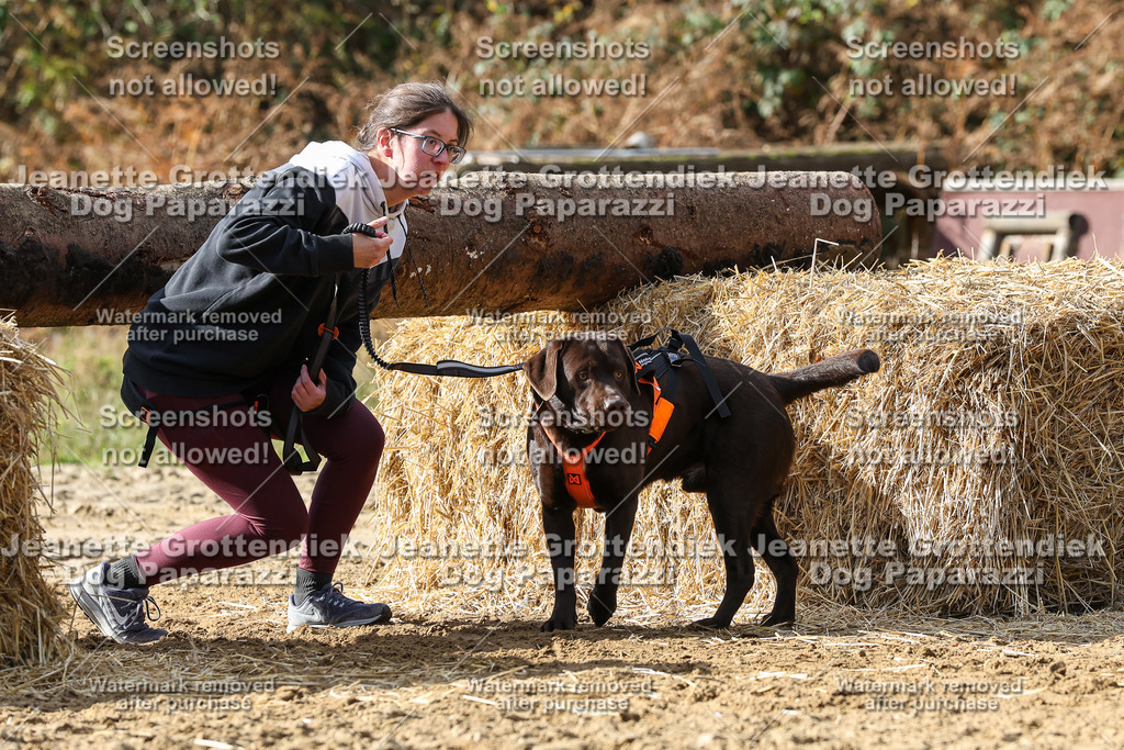 Dog Paparazzi - Strongdog 10-25-5050 | Dog Paparazzi Jeanette Grottendiek Fotografie & Videografie - Realisiert mit Pictrs.com