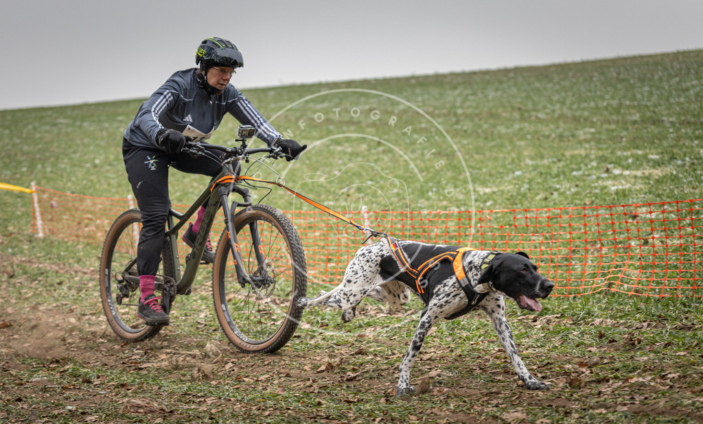 Pfotenfotografie_DV3A2461 | Hundefotografie, Tierfotograf, Pfotenfotografie, Fotoshooting Hund, Hunde Portrait, Hundesport, Hundeportraits, Heideshooting, Hunde, Sportfotograf, Hundefotograf, Turnierhundsport, THS,  - Realisiert mit Pictrs.com