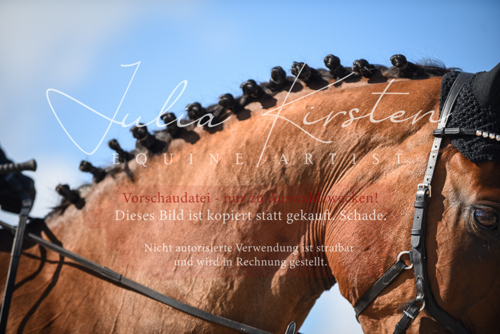 DSC_9664 | Pferde- und Turnierfotografie in Westsachsen. Pferdeportraits, Auftragszeichnungen und intuitive Kunst.