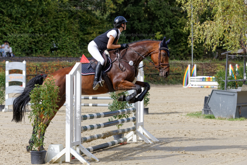 JHE31911 | Joachim Heinrich Fotografie - Realisiert mit Pictrs.com