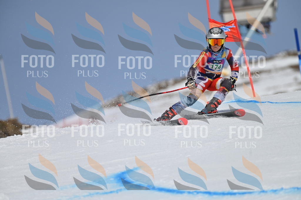 BGV_3431 | holidayphoto