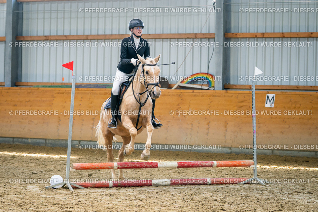 DSC01852 | Pferdegrafie