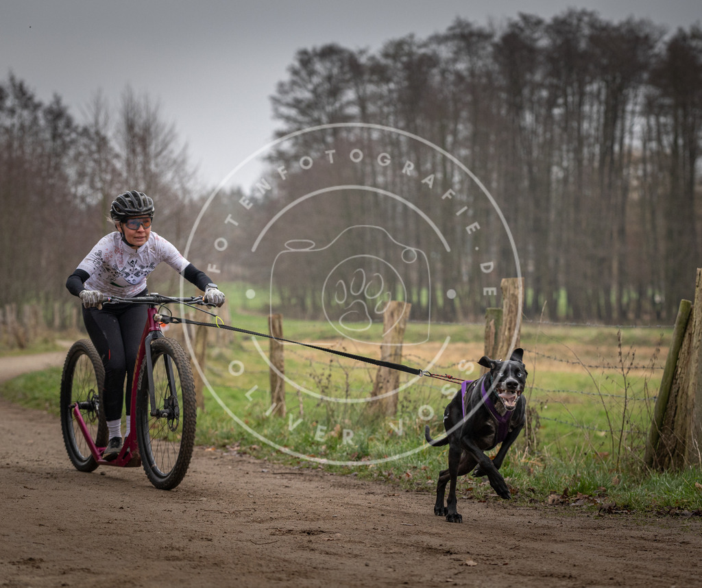 Pfotenfotografie_DV3A2323 | Hundefotografie, Tierfotograf, Pfotenfotografie, Fotoshooting Hund, Hunde Portrait, Hundesport, Hundeportraits, Heideshooting, Hunde, Sportfotograf, Hundefotograf, Turnierhundsport, THS,  - Realisiert mit Pictrs.com