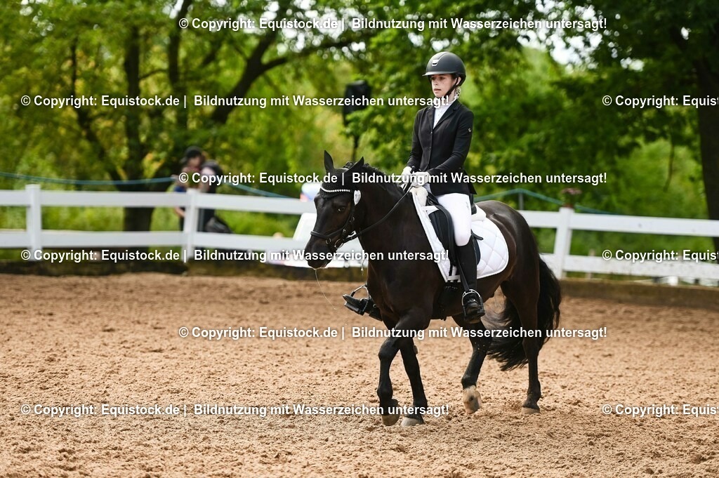 20230716_04_Dressurreiterprüfung Kl.A_0316 | equistock