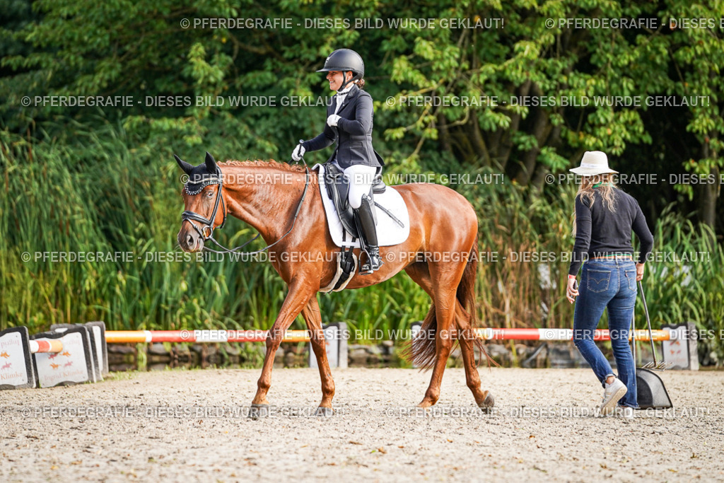 DSC00752 | Pferdegrafie