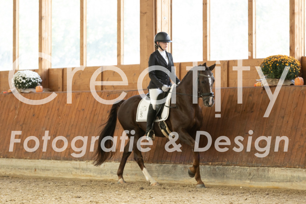 IMG_2045 | Creatify Fotografie