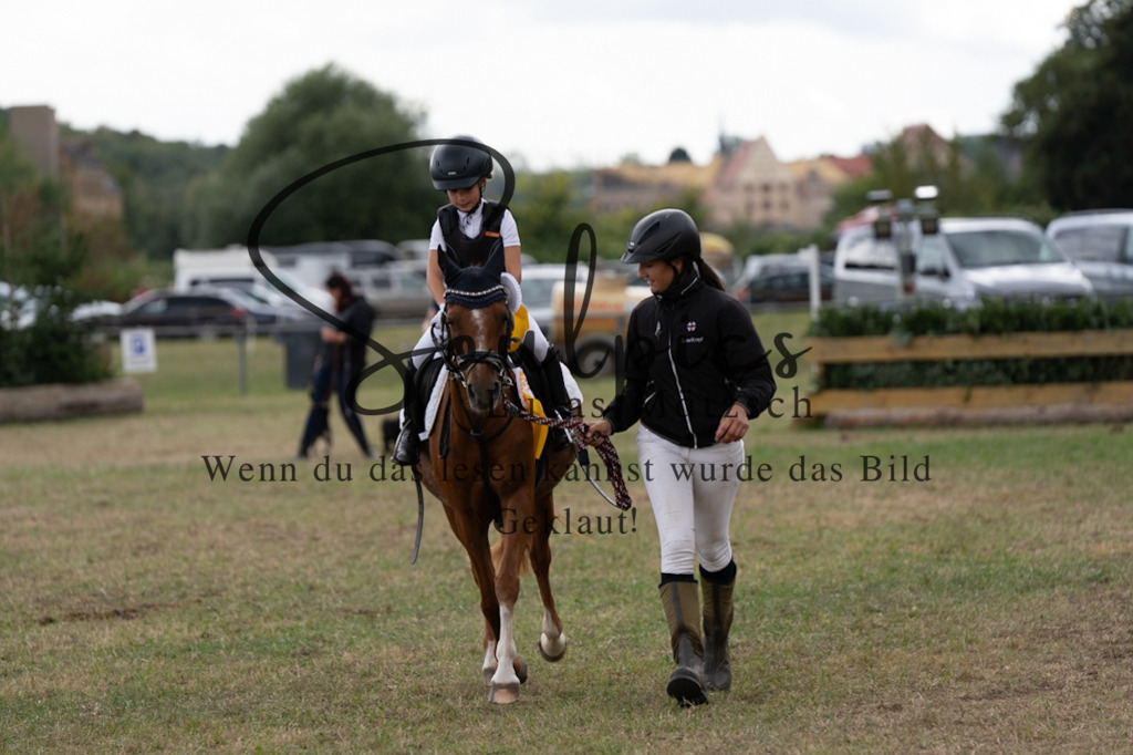 A7V01376 | Pferdefotograf