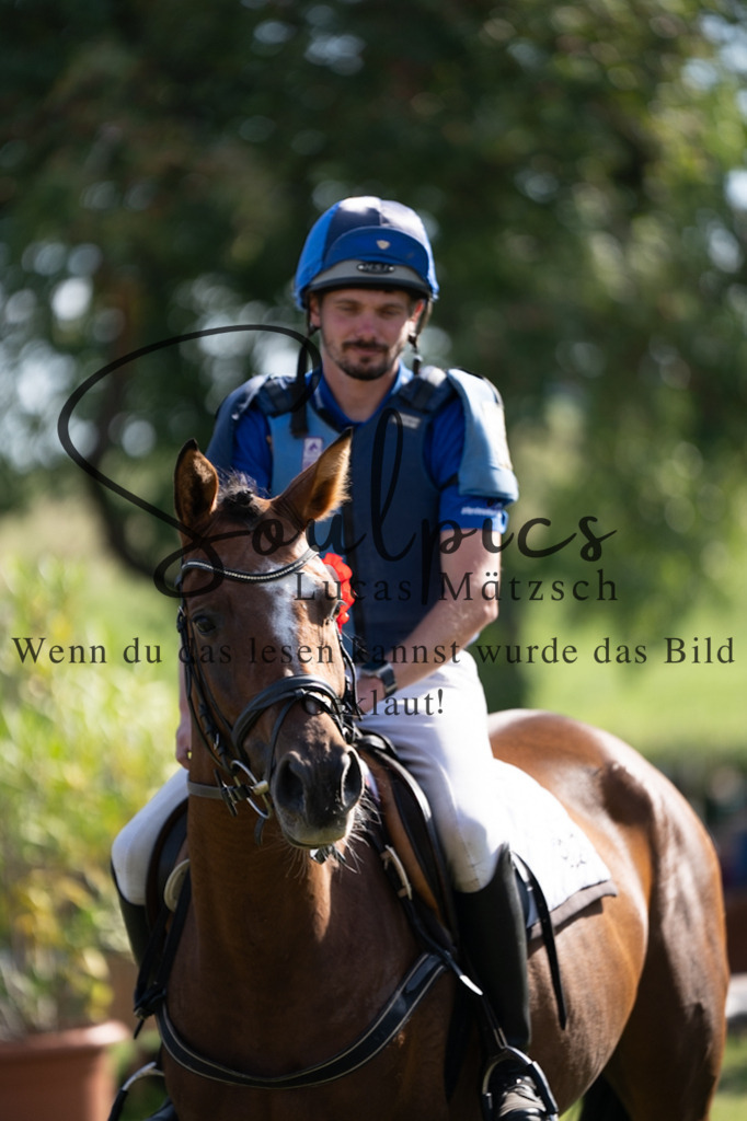 A7V03452 | Pferdefotograf