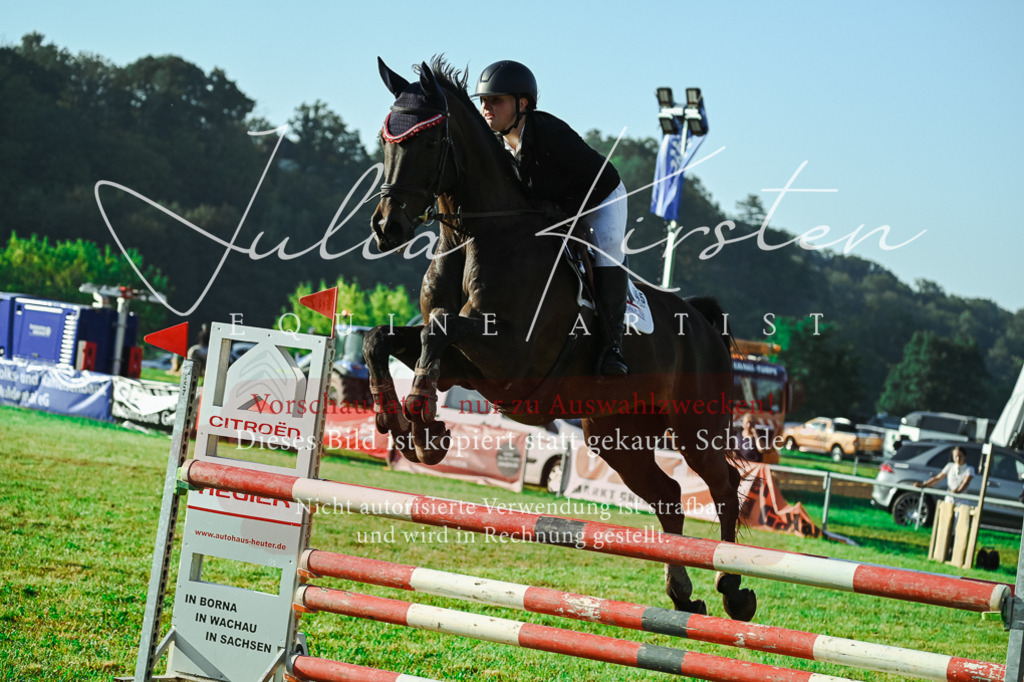 DSC_4400 | Pferde- und Turnierfotografie in Westsachsen. Pferdeportraits, Auftragszeichnungen und intuitive Kunst.