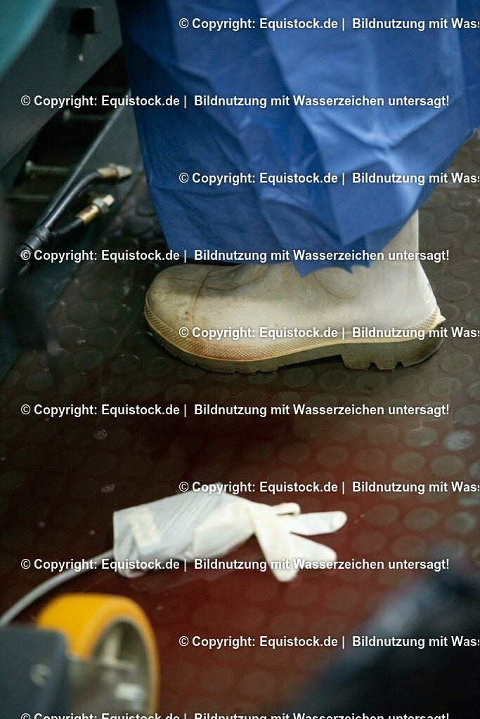 20191022_Kolik_OP_0113 | equistock